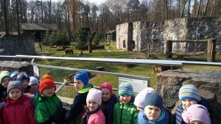 większy obrazek nr 2